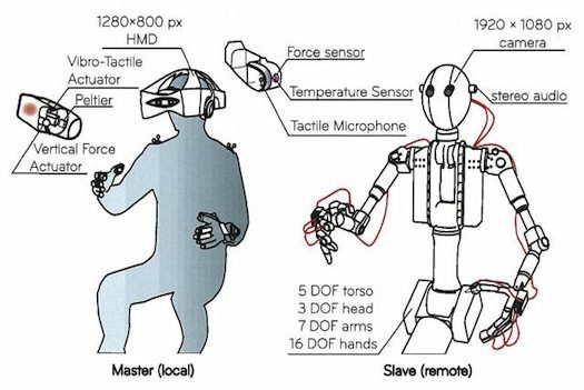 Robot avatar sensors and actuators
