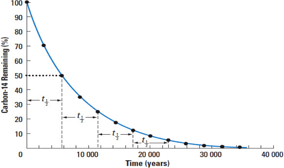 carbon 14 decay curve