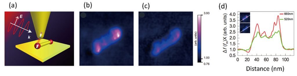 photoinduced force microscopy