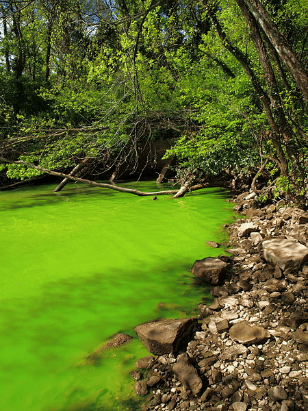 eutrophication