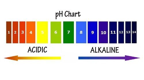 medida de pH