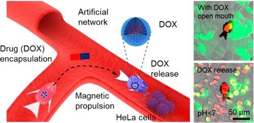 microrrobô no vaso sanguíneo