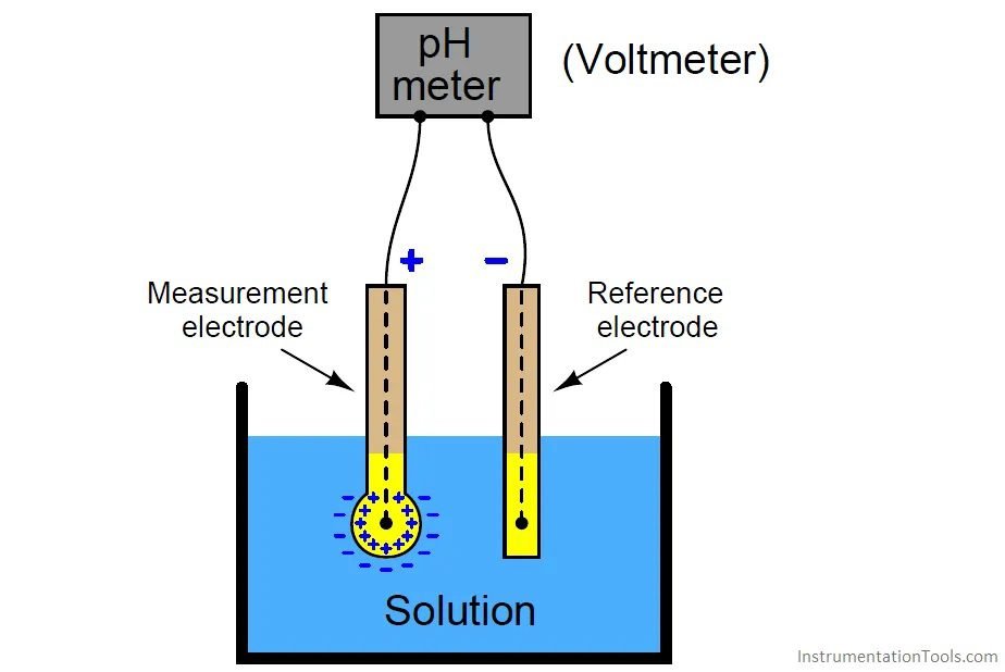 pHmeter probes