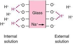 ion exchange