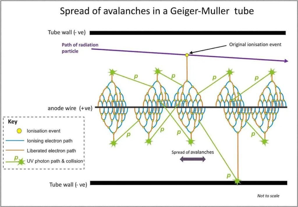 Townsend avalanche inside a Geiger-Müller tube