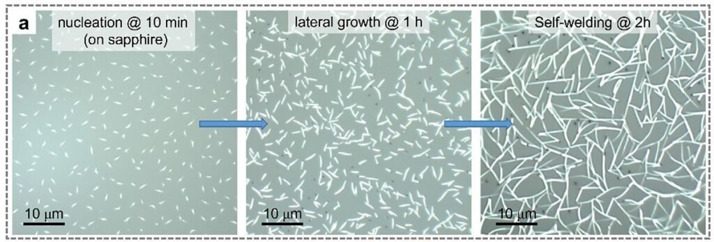 Nanofios de Te em um substrato de safira